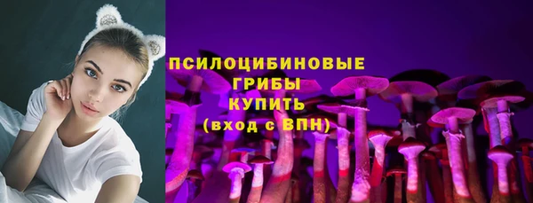 мяу мяу мука Бугульма