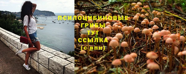 круглые Бронницы