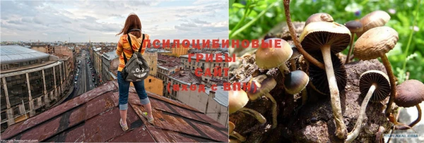 круглые Бронницы